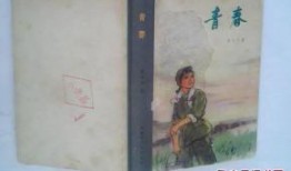 吃瓜小知青小说免费阅读,揭秘农村生活背后的秘密